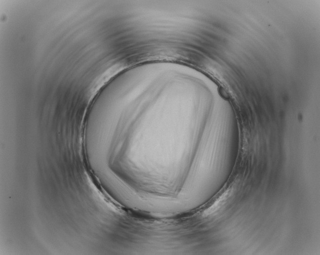 X0000089360802200707061048