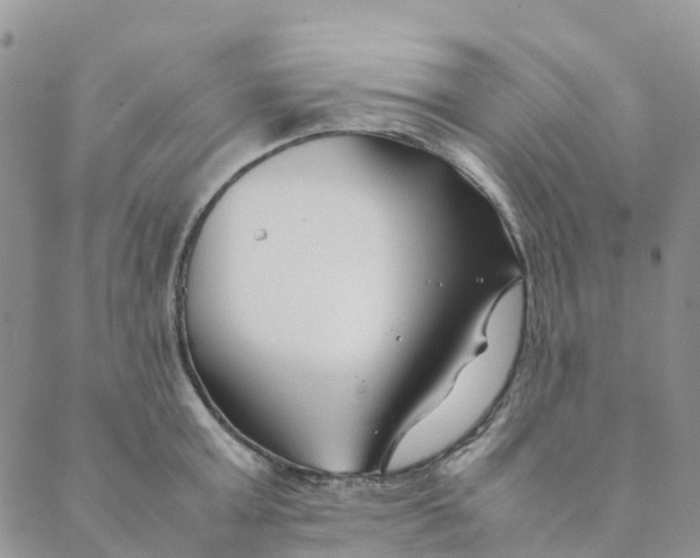 X0000089360803200707061048