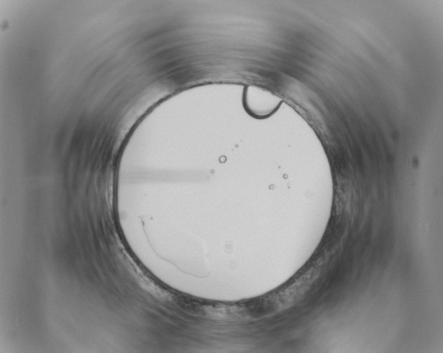 X0000089360804200707061048