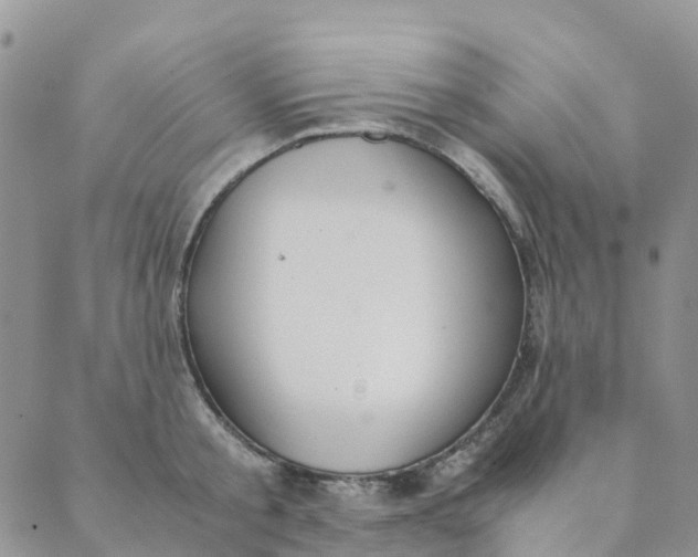 X0000089360805200707061048