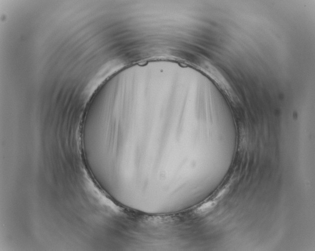 X0000089360806200707061048