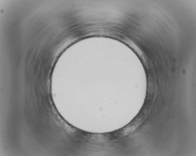 X0000089360807200707061048