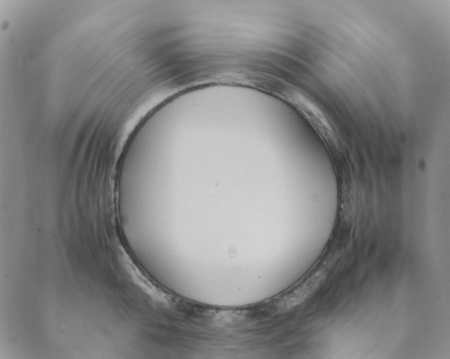 X0000089360808200707061048