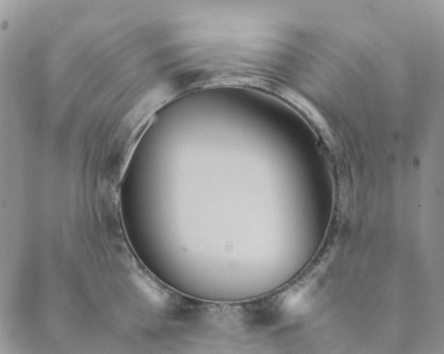 X0000089360809200707061048