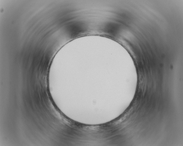 X0000089360810200707061048