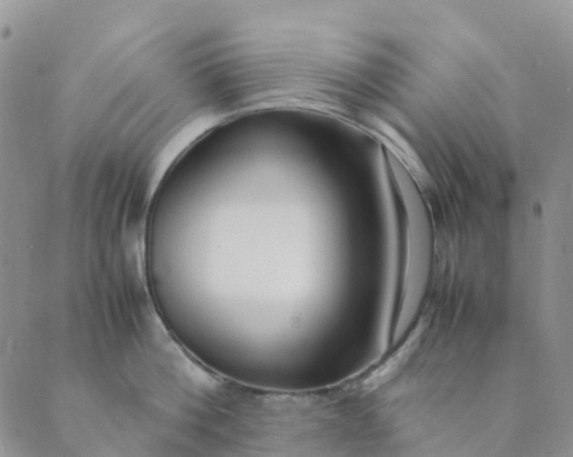 X0000089360812200707061048