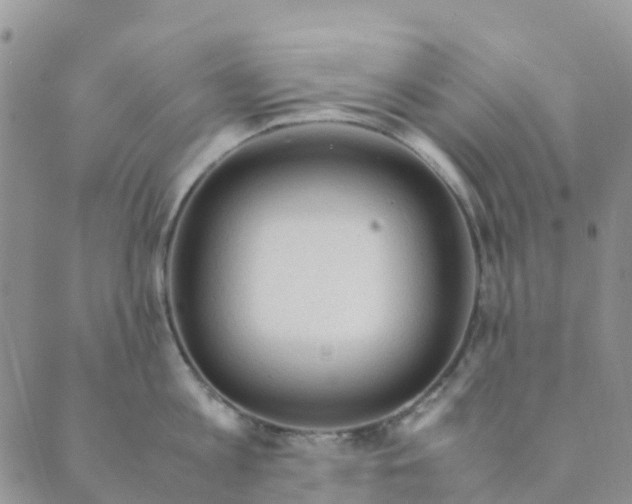 X0000089360813200707061048