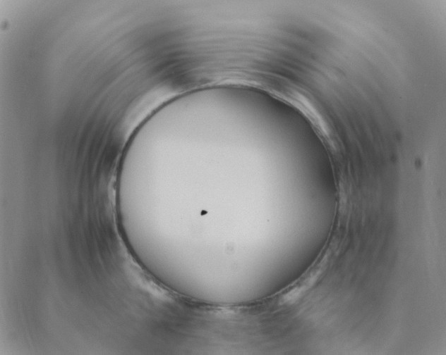 X0000089360814200707061048