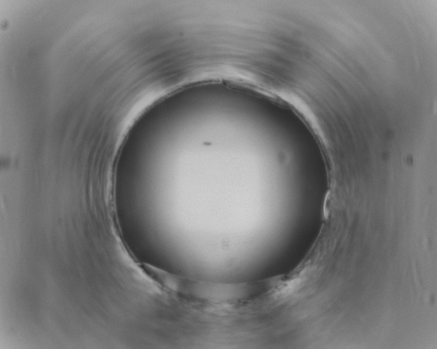 X0000089360815200707061048