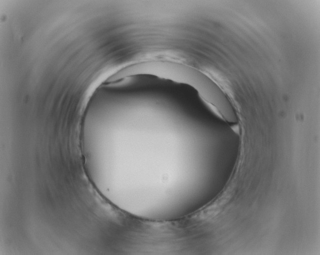 X0000089360816200707061048