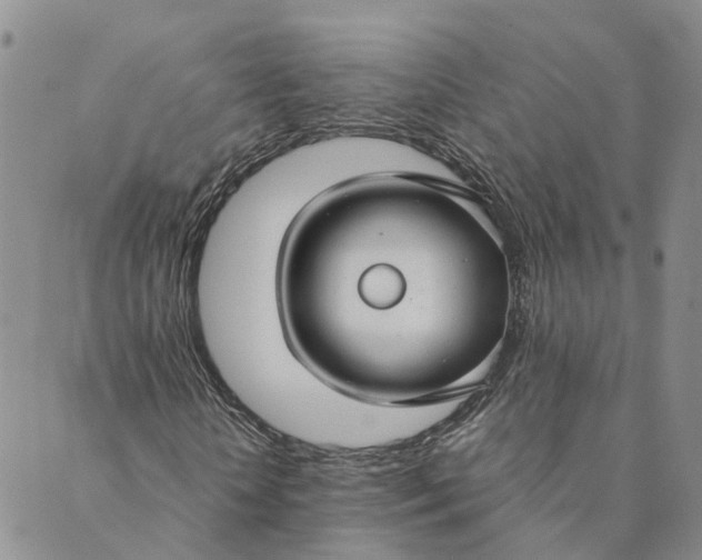 X0000089360818200707061047