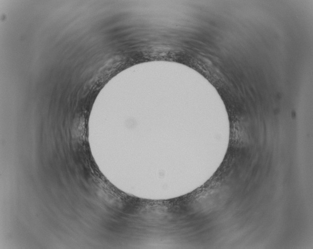 X0000089360820200707061047