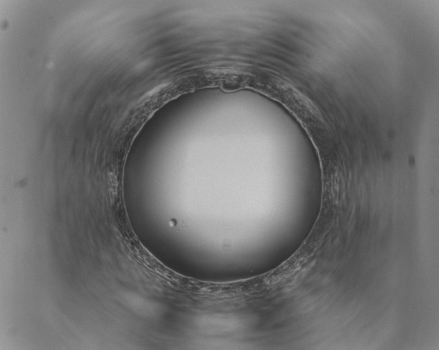 X0000089360821200707061047