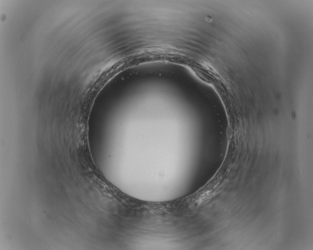 X0000089360822200707061047