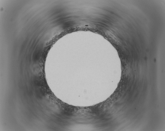 X0000089360824200707061047