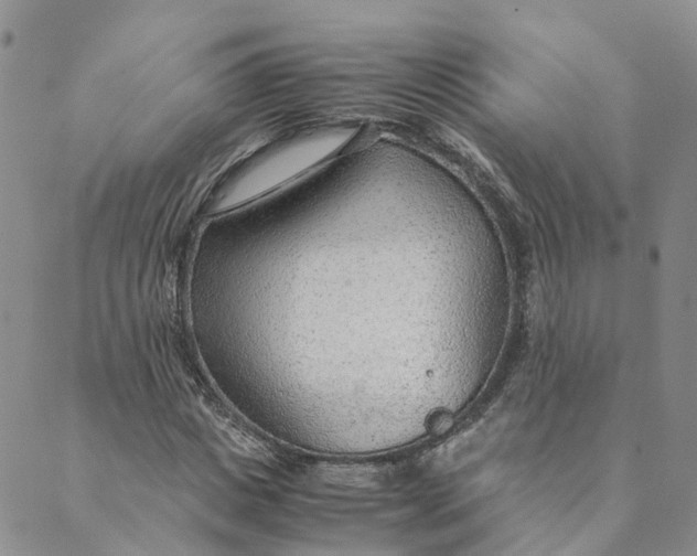 X0000089360825200707061047