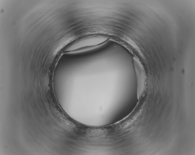 X0000089360826200707061047