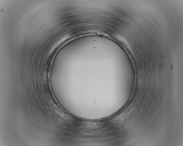 X0000089360827200707061047