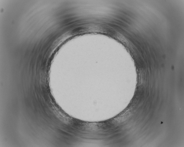 X0000089360828200707061047