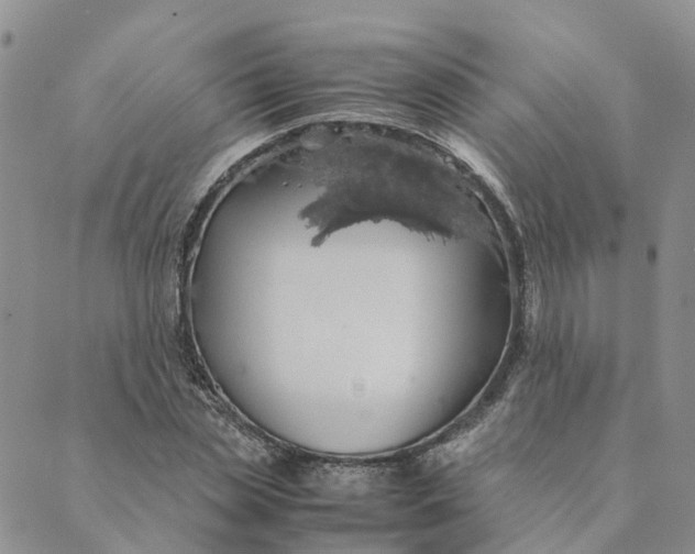 X0000089360829200707061047