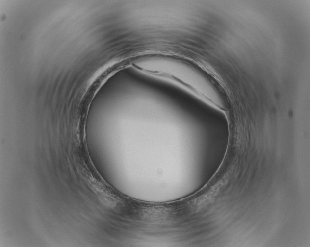 X0000089360830200707061047