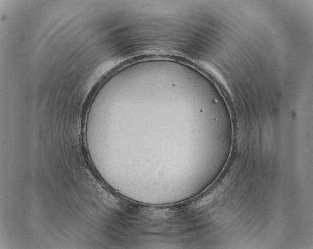 X0000089360831200707061047