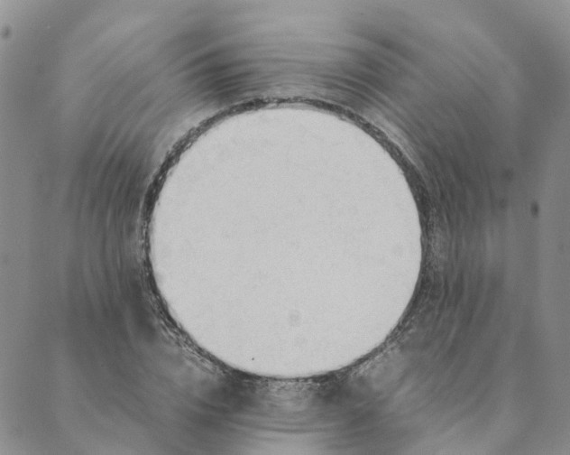 X0000089360832200707061047