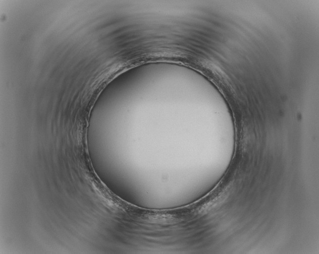 X0000089360833200707061047