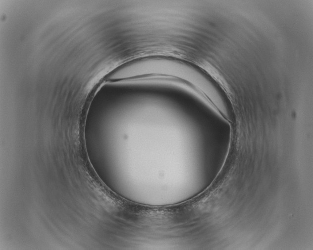 X0000089360834200707061047