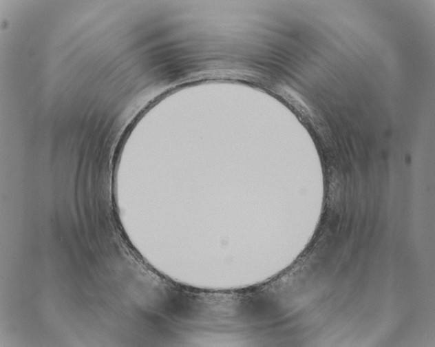 X0000089360836200707061047