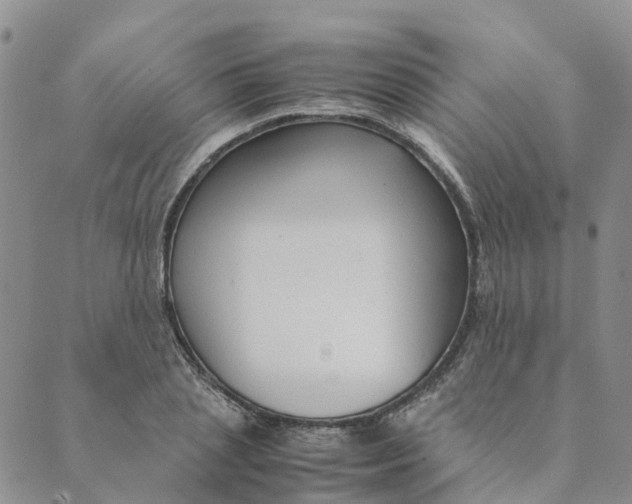 X0000089360837200707061047