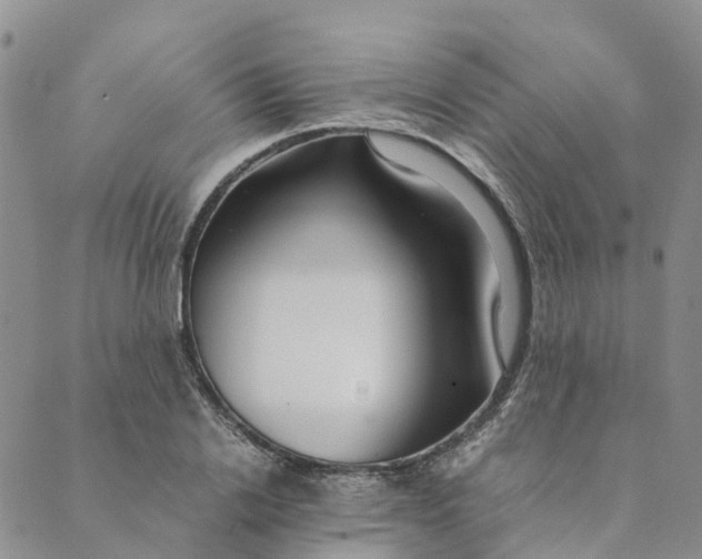 X0000089360838200707061047