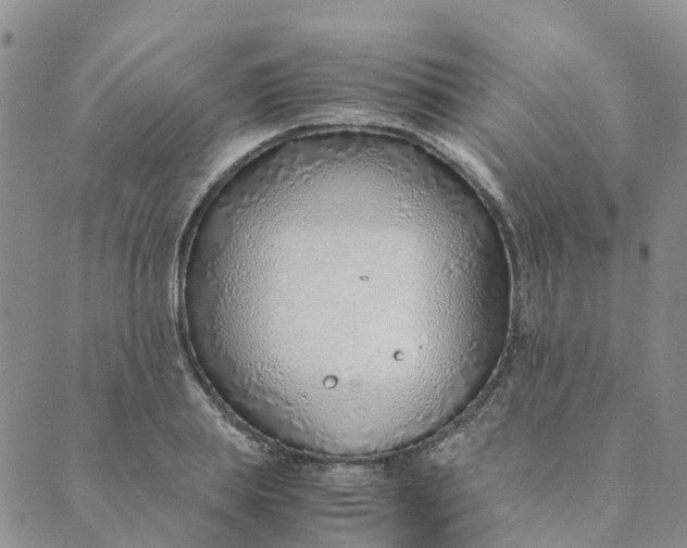 X0000089360839200707061047