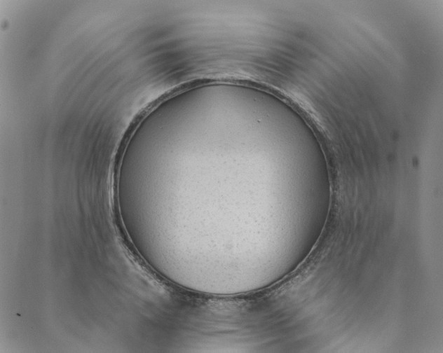 X0000089360840200707061047