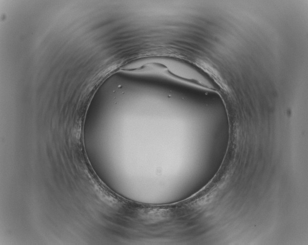 X0000089360841200707061047