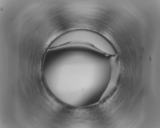 X0000089360842200707061047