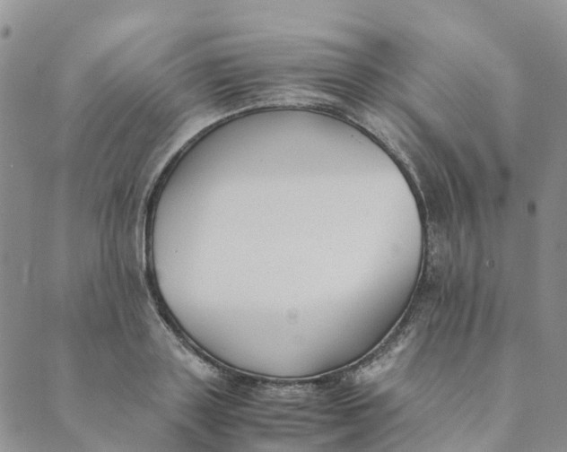 X0000089360843200707061047