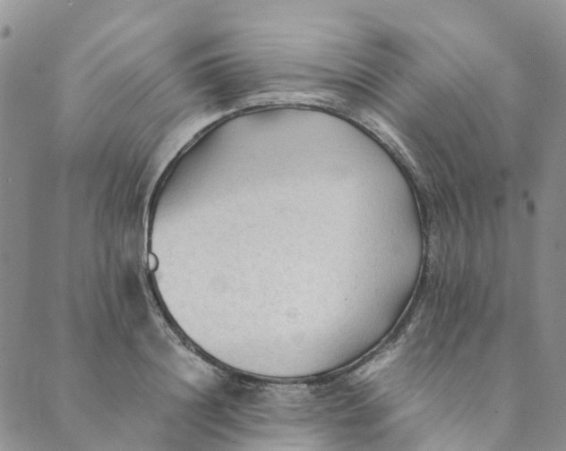 X0000089360844200707061047