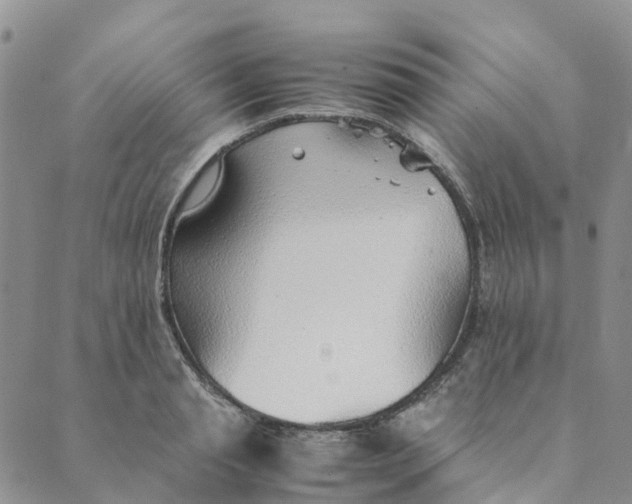 X0000089360845200707061047