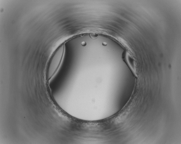 X0000089360846200707061047