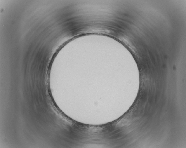 X0000089360848200707061047