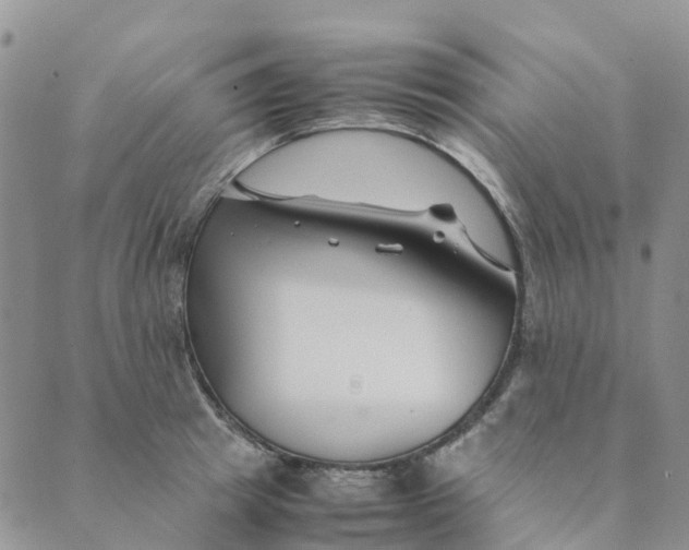 X0000089360849200707061047