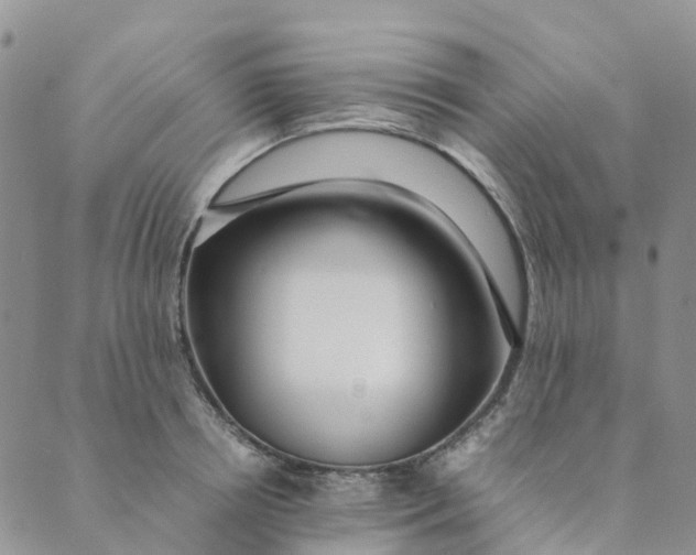 X0000089360850200707061047