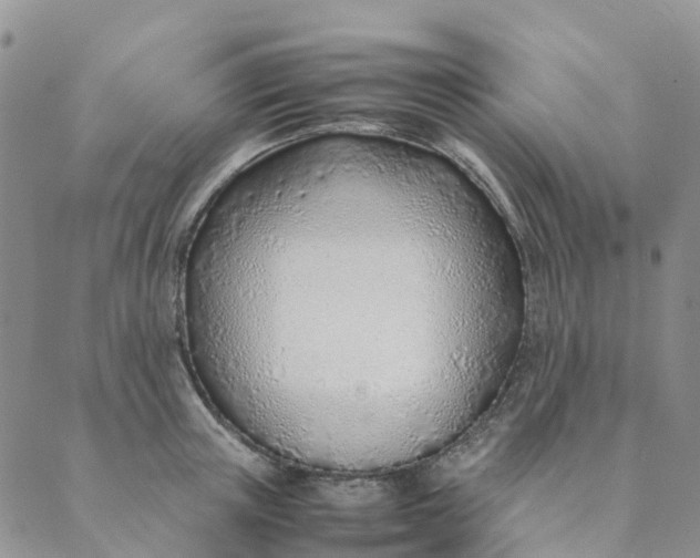 X0000089360851200707061047