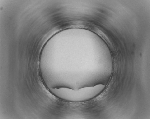 X0000089360852200707061047