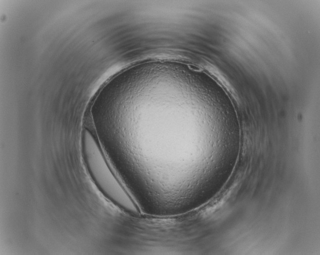 X0000089360853200707061047