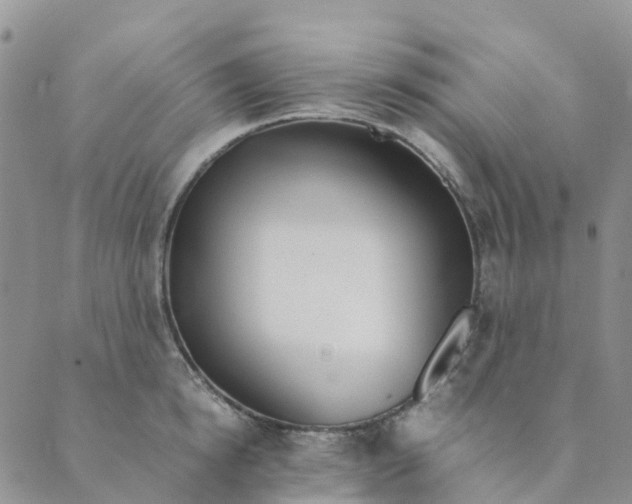 X0000089360854200707061047