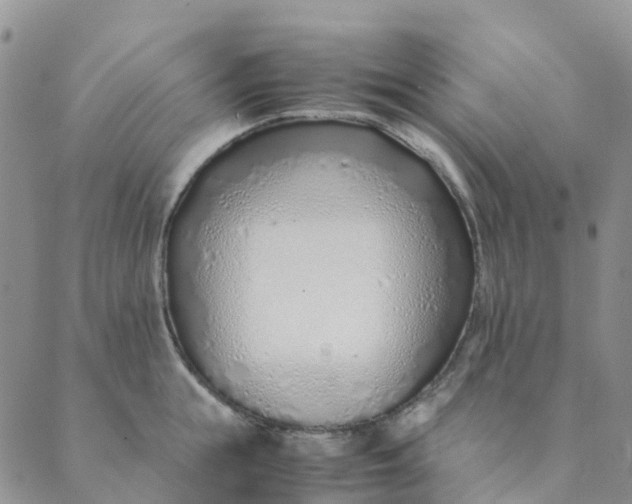 X0000089360855200707061047