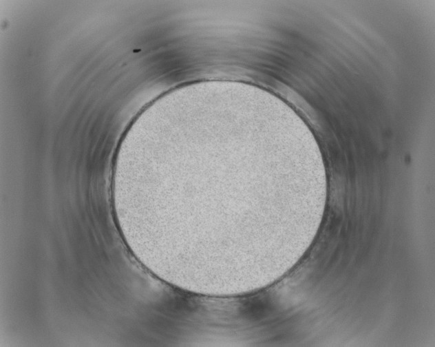 X0000089360856200707061047