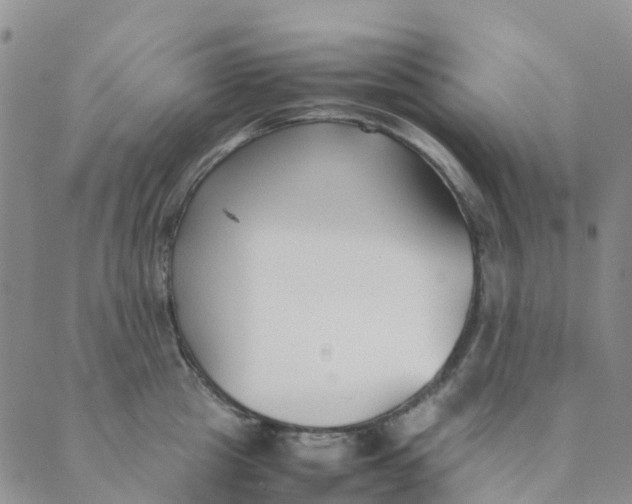 X0000089360857200707061047